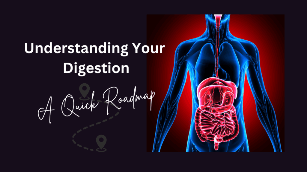 Understanding Your Digestion